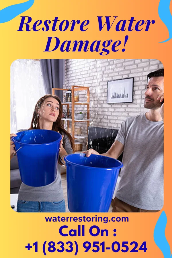 water restoration Apex Water Damage Contractors Roselawn